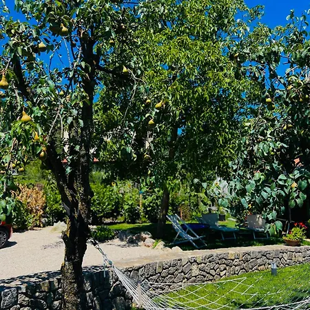 Dolce Risveglio Villa Agerola